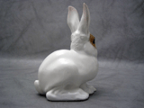 painted allach rabbit 61